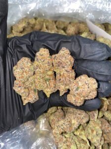 Buy Cali Wiet Haze Online | Best Price & Top Quality | Chemsfine
