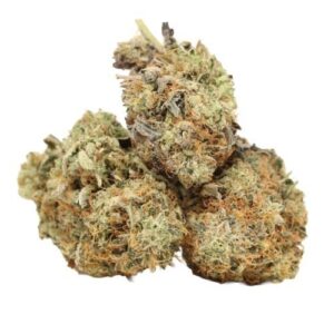 Larry OG Shatter for Sale | Buy Premium OG Shatter Online