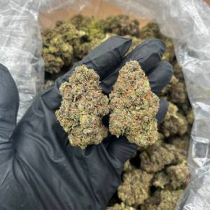 Buy Pop Rox Online | Top Quality Indica Strain For Sale