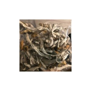 Psilocybe Cubensis – Buy Magic Mushrooms Online
